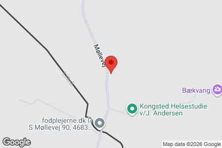 Møllevej 85, 4683 Rønnede